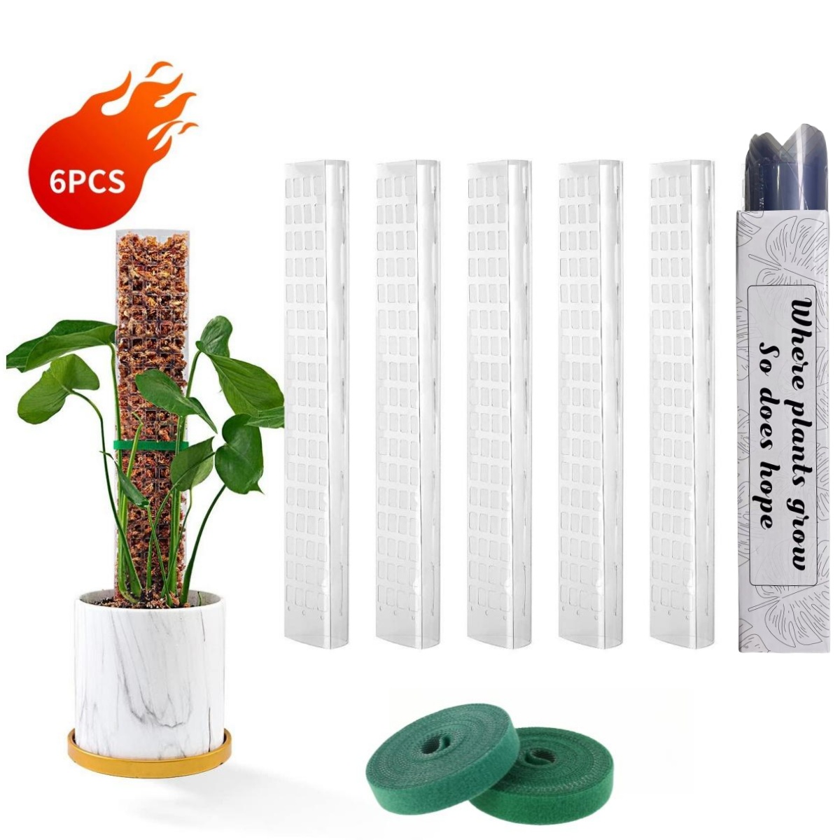Sphagnum Moss Dry - Poteaux de mousse plantes Support de