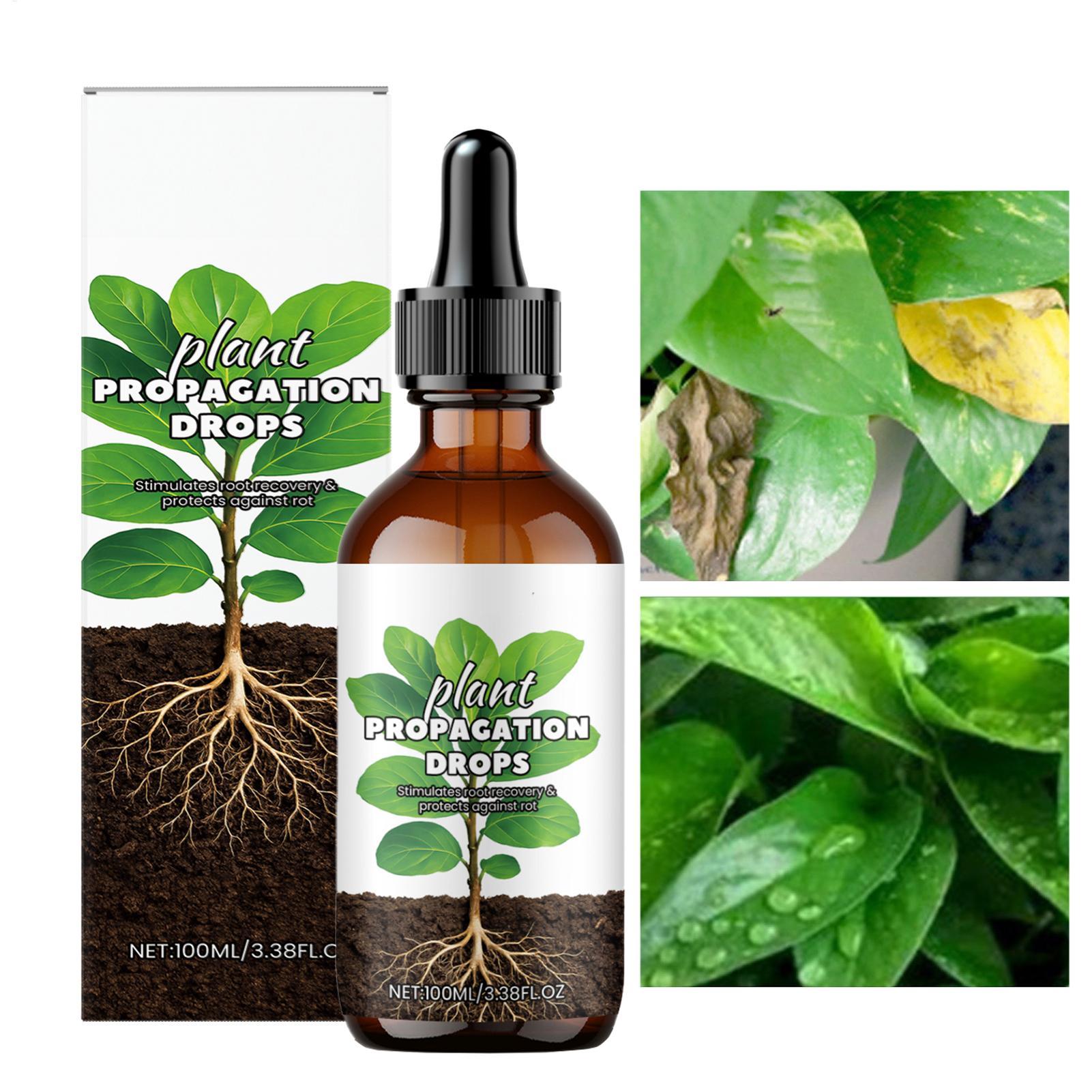 Root Stimulator Liquid - Booster de racines 100ml, gouttes liquides