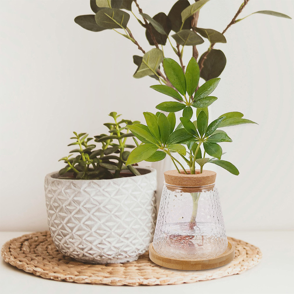 Propagation Station Vase - Lot de 2 Vases Hydroponiques en