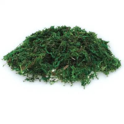 Sphagnum Moss Dry - 1 paquet de fausse mousse naturelle