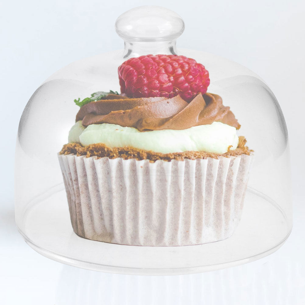 Plastic Dome Clear - Lot de 2 Couvercles Alimentaires Transparents