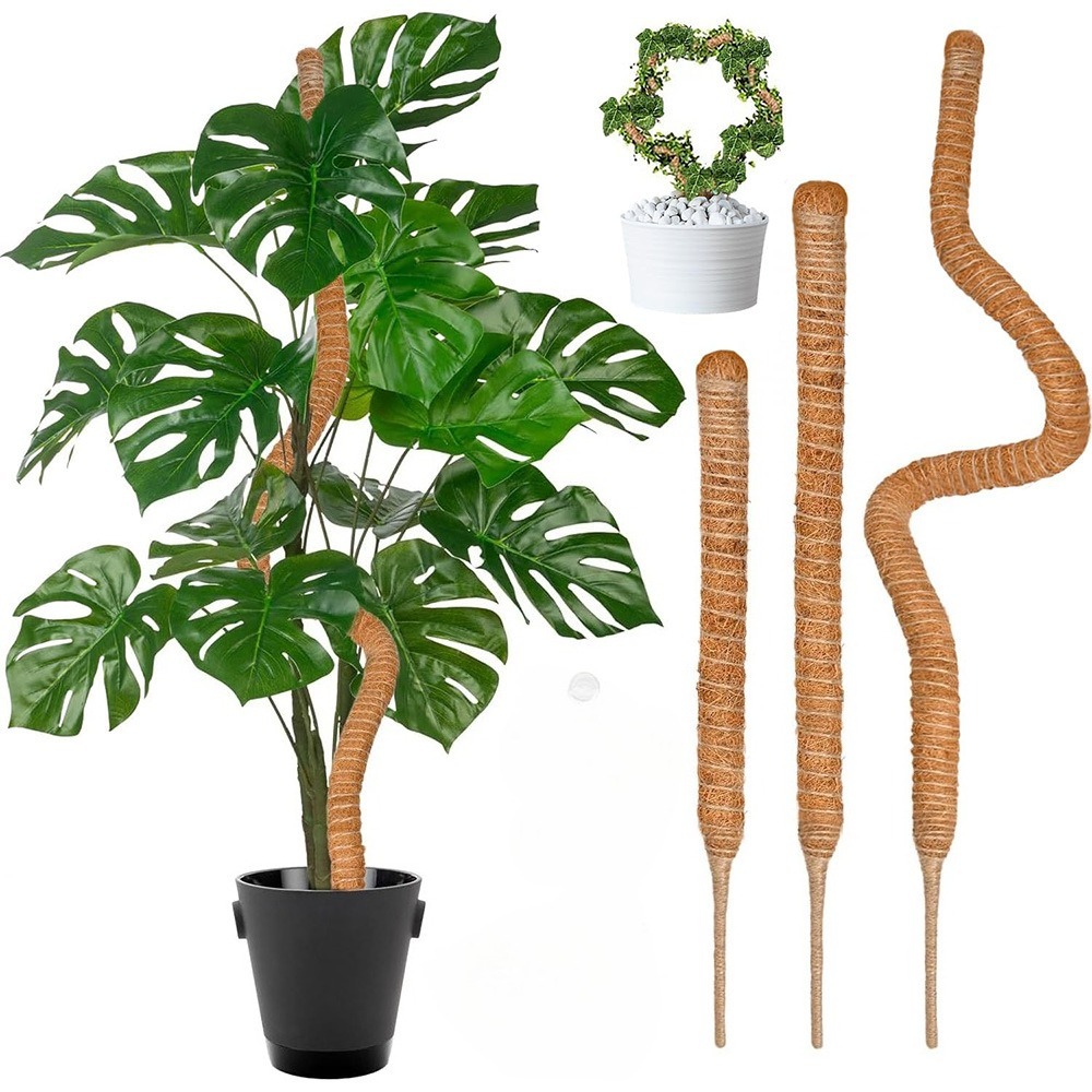 Sphagnum Moss Dry - Support d'escalade pour plantes pliables, 30-100cm,