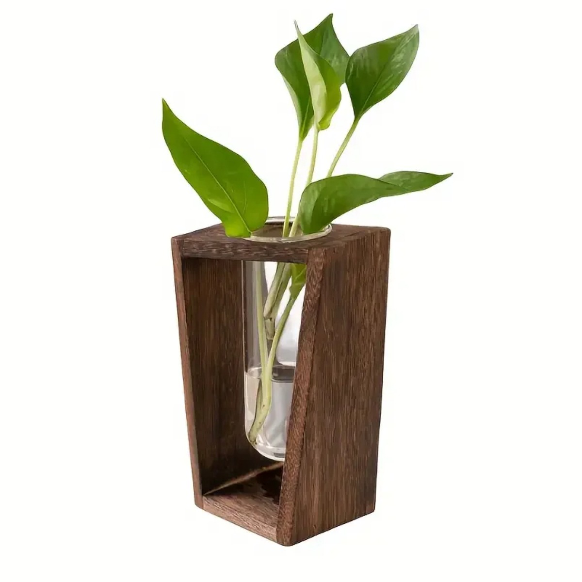 Propagation Station Vase - Station de propagation de plantes, vase