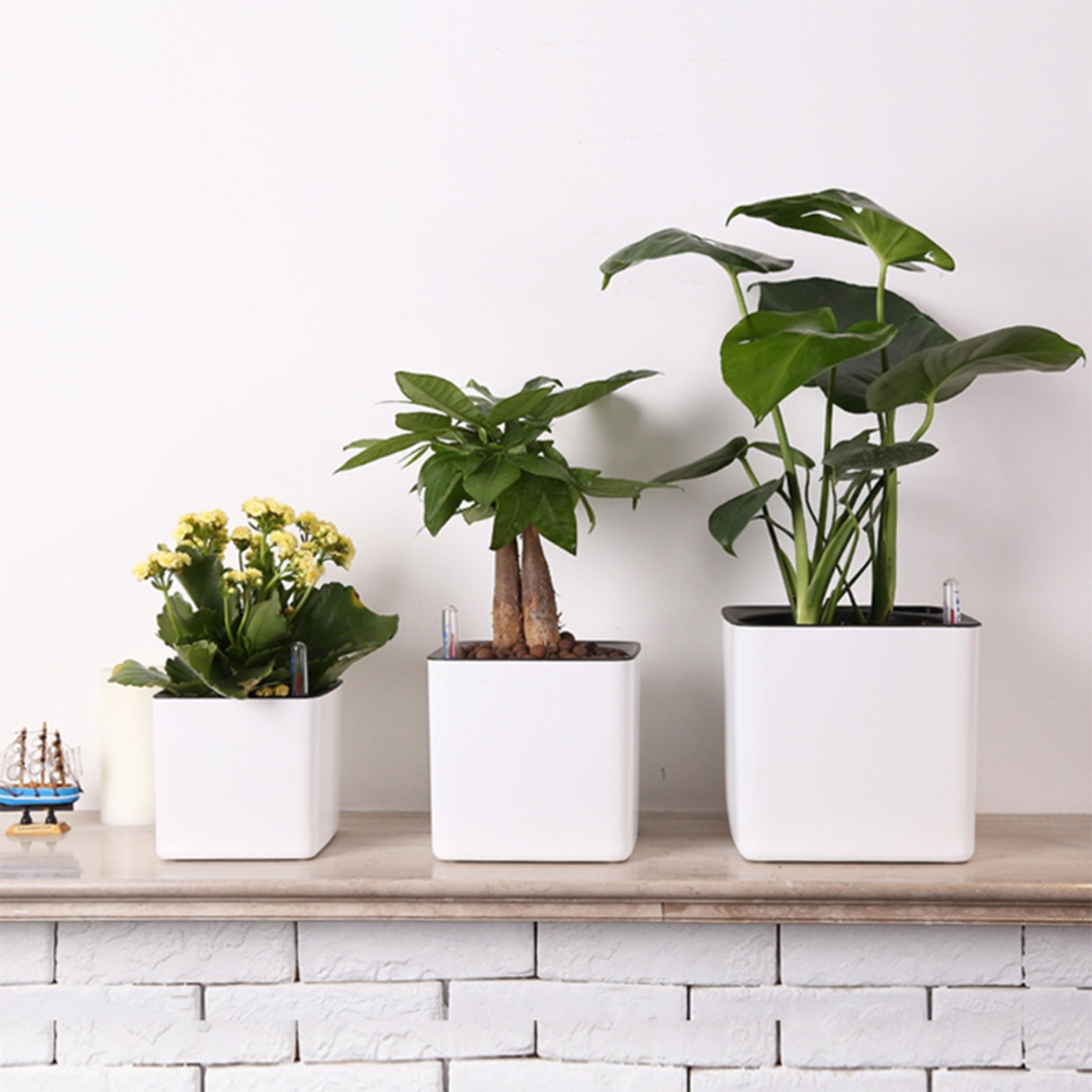 Self Watering Insert - Pot auto-arrosant avec indicateur de niveau
