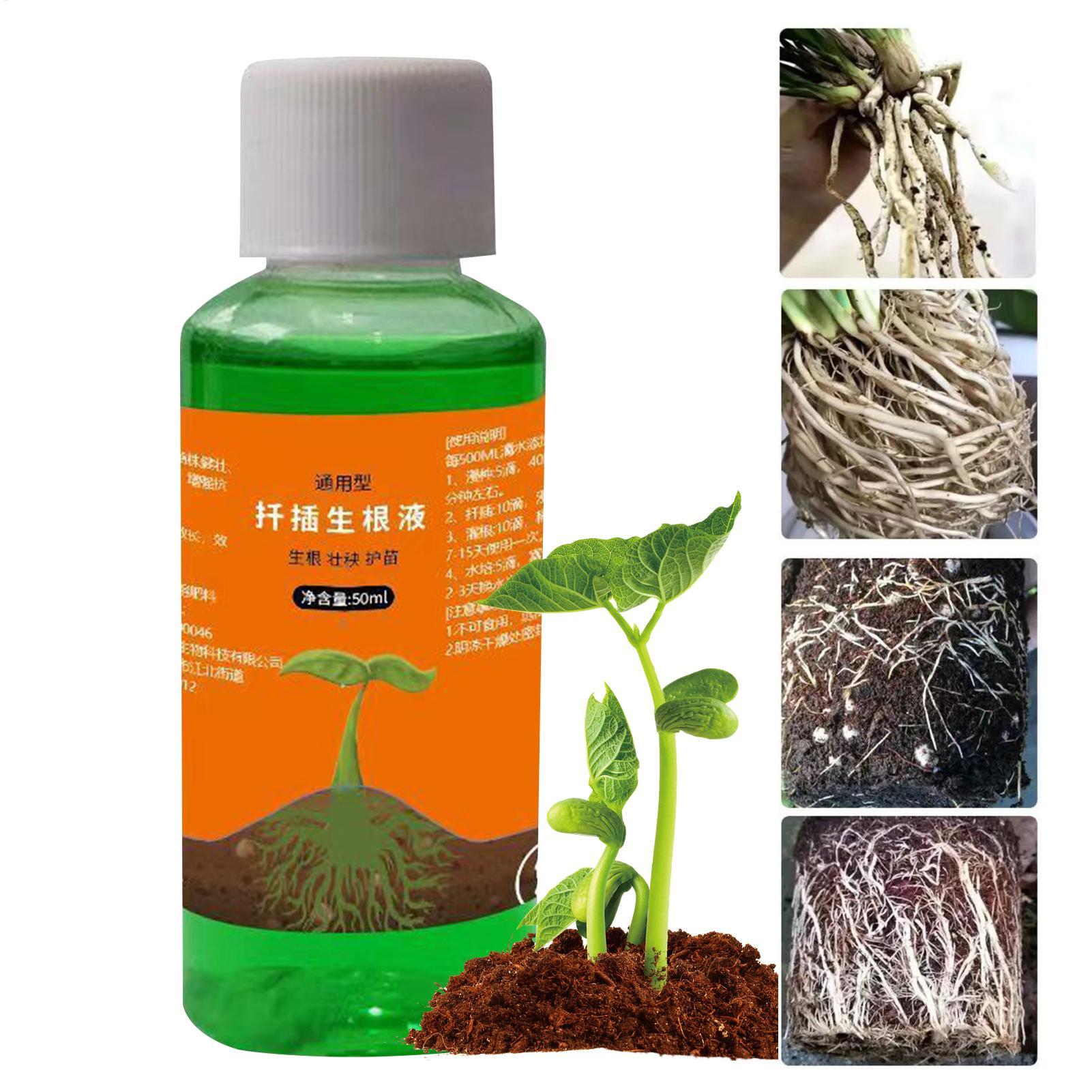 Root Stimulator Liquid - Stimulateur de racines haute performance pour
