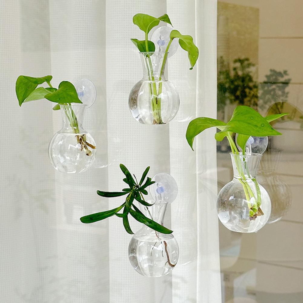 Propagation Station Vase - Lot de 1/2/3/4/6/8 Bulbes de propagation