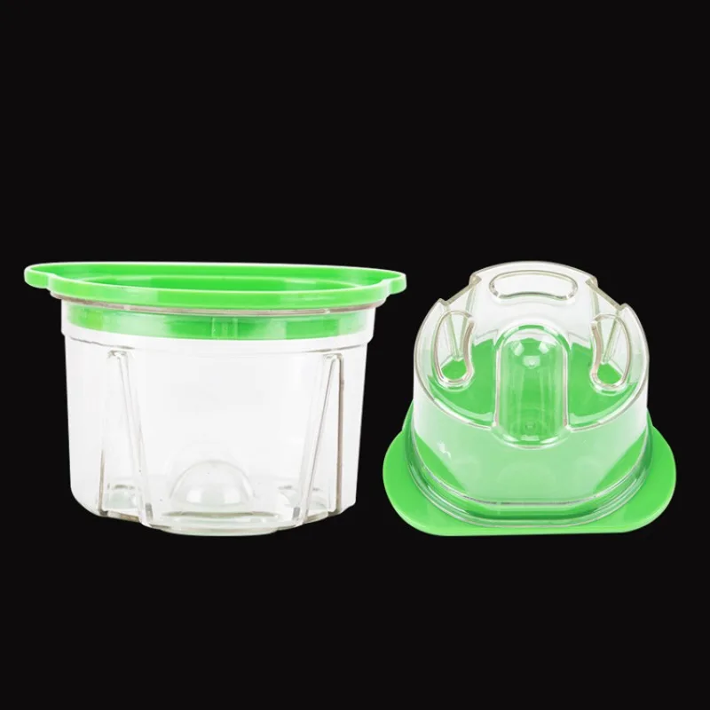 Agar Tissue Culture - Lot de 3 Boîtes en Plastique