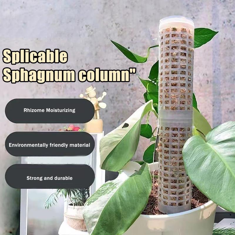 Sphagnum Moss Dry - 6 Piques à mousse en plastique
