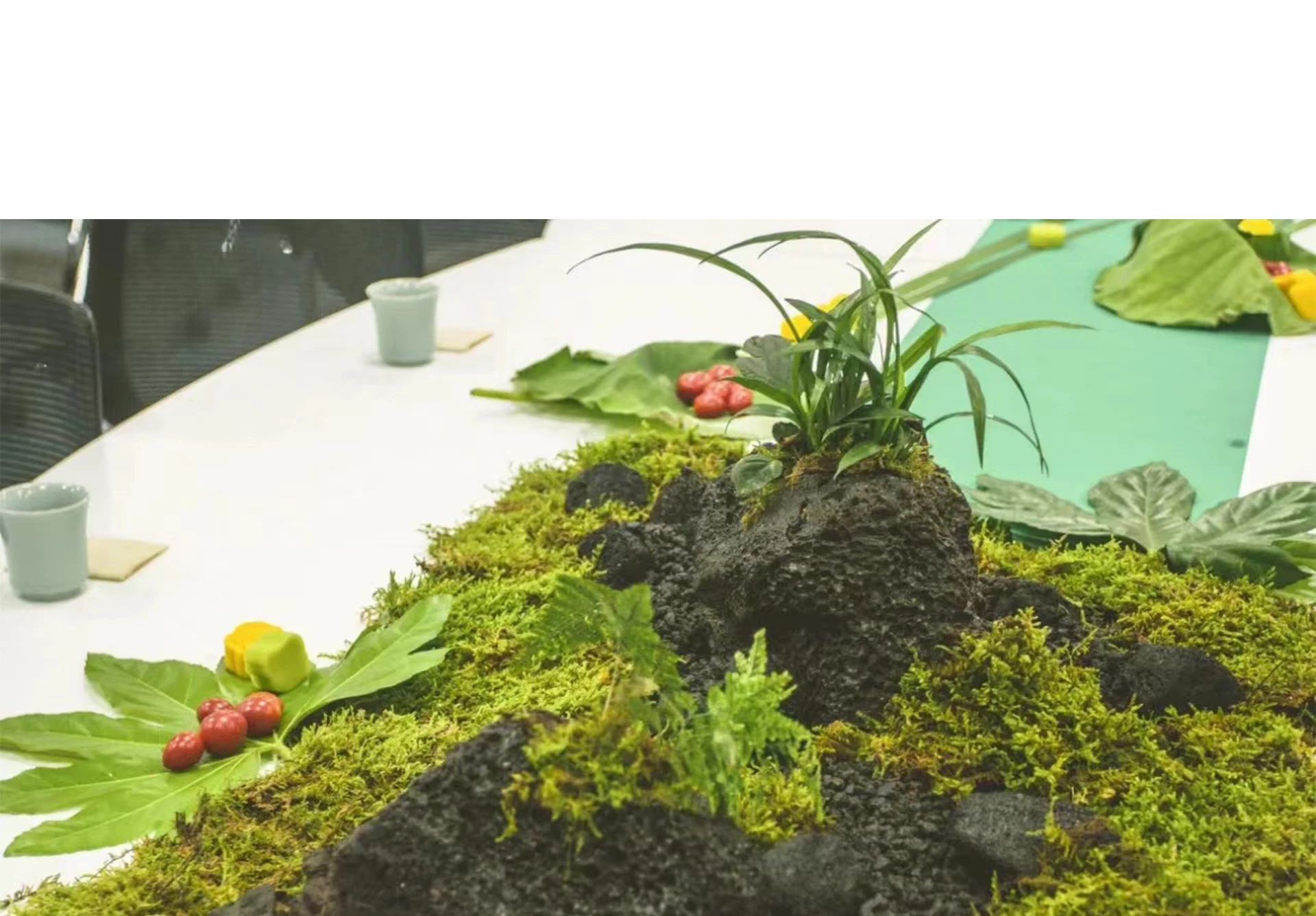 Mousse artificielle pour plant - Sphagnum Moss Dry avis et prix