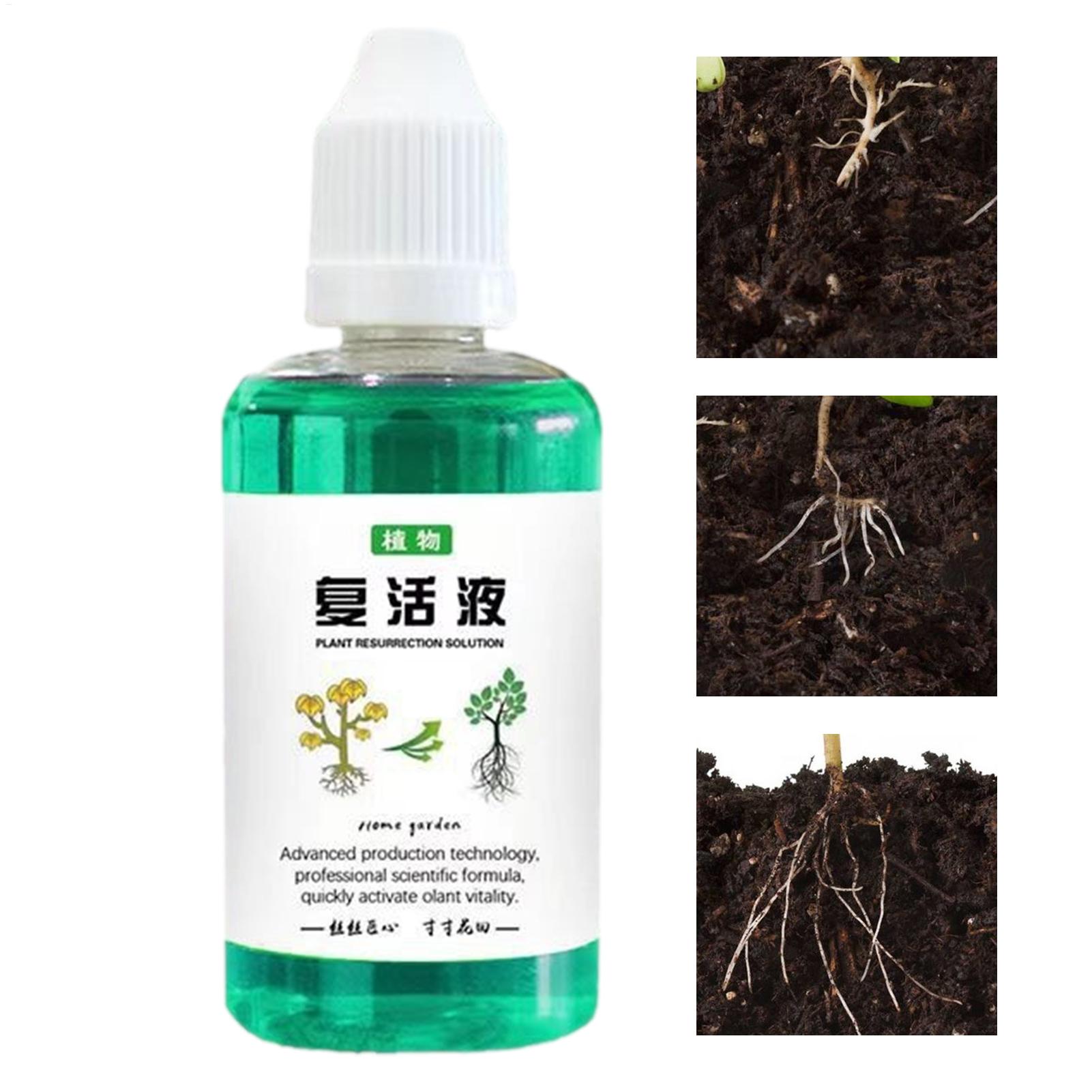 Stimulateur de racines 50 ml,  - Root Stimulator Liquid avis et prix