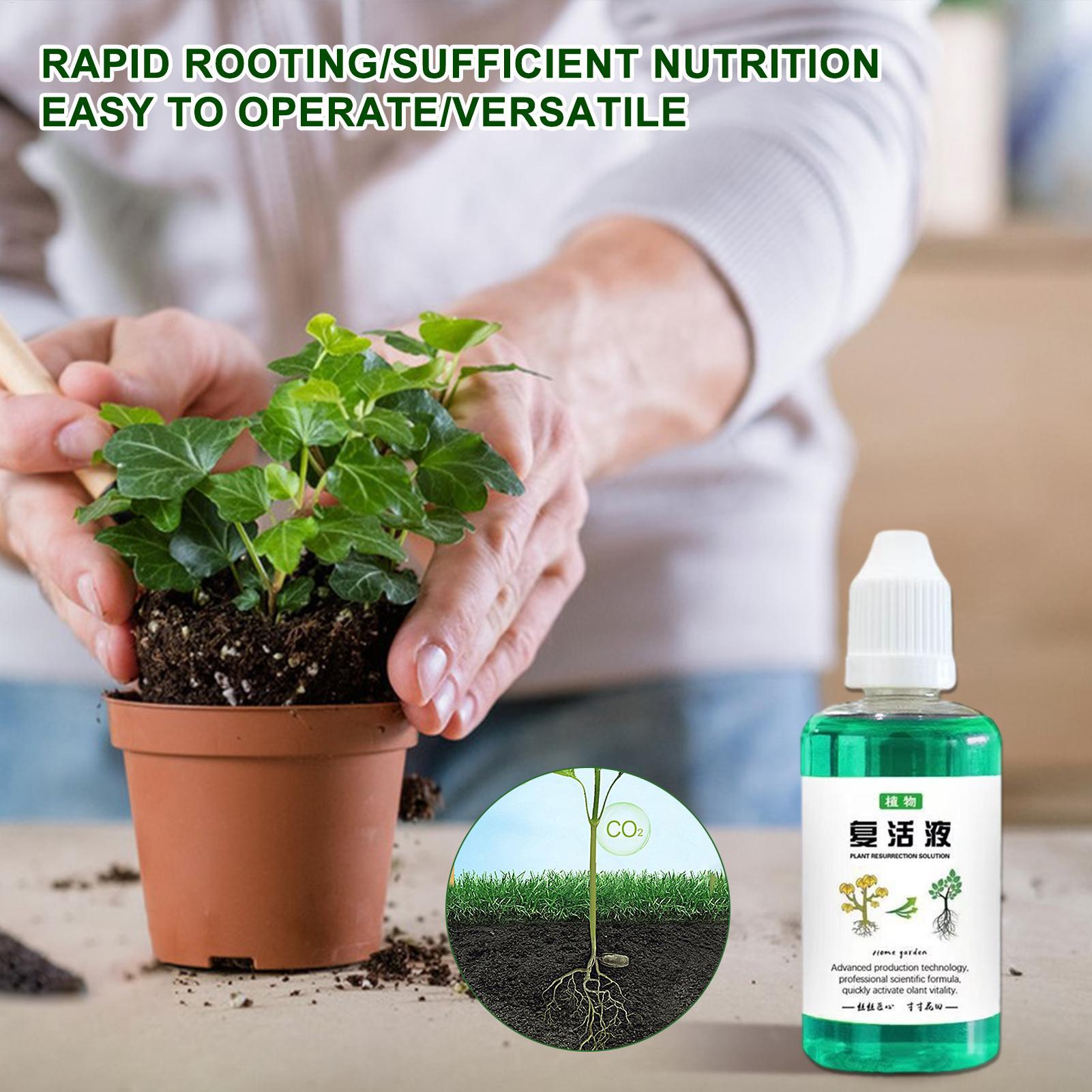 Stimulateur de racines 50 ml,  - Root Stimulator Liquid avis et prix