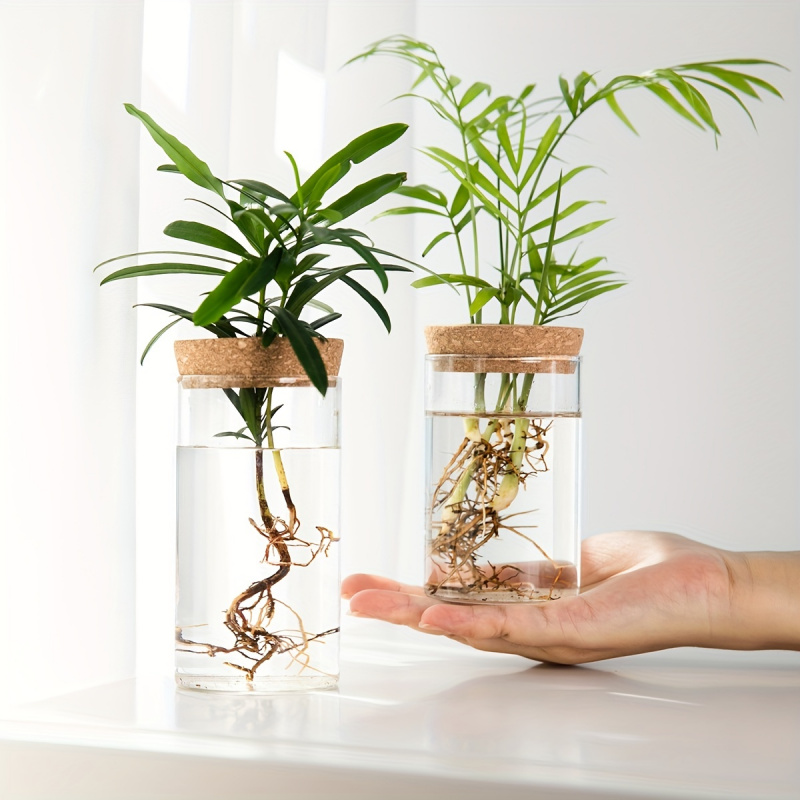 User inière en verre pour plan - Propagation Station Vase avis et prix