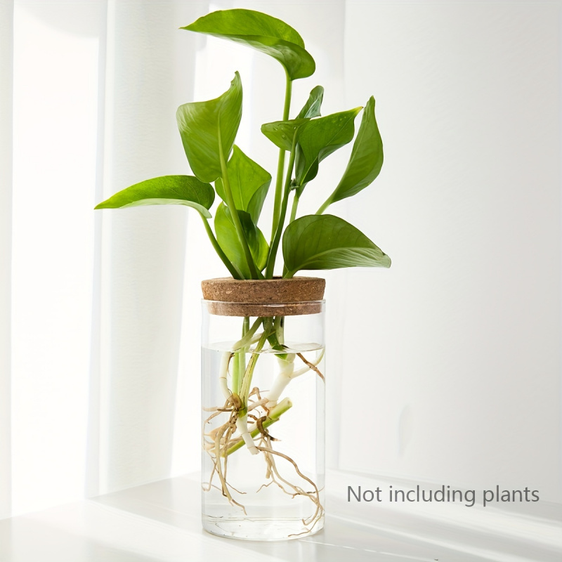 User inière en verre pour plan - Propagation Station Vase avis et prix