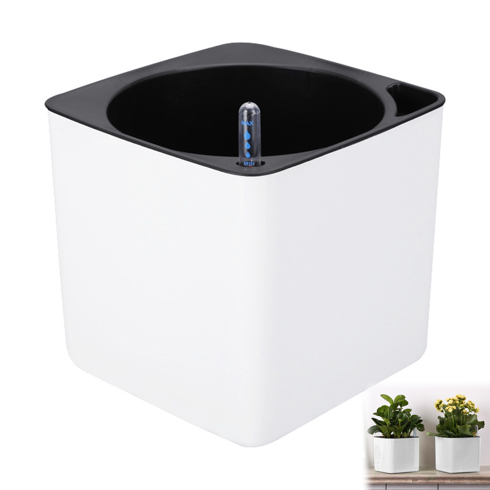 Pot de plantes à fleurs à arro - Self Watering Insert avis et prix