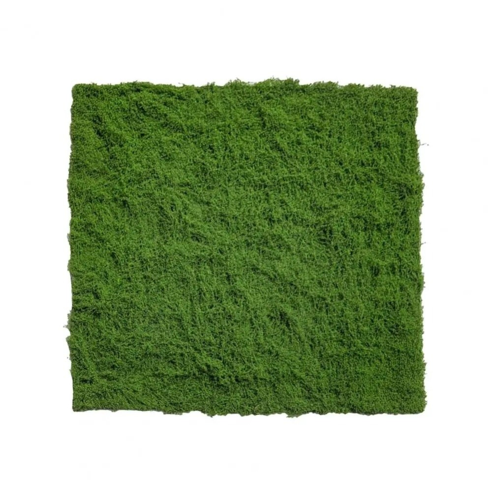 Tapis de gazon artificiel DIY  - Sphagnum Moss Dry avis et prix