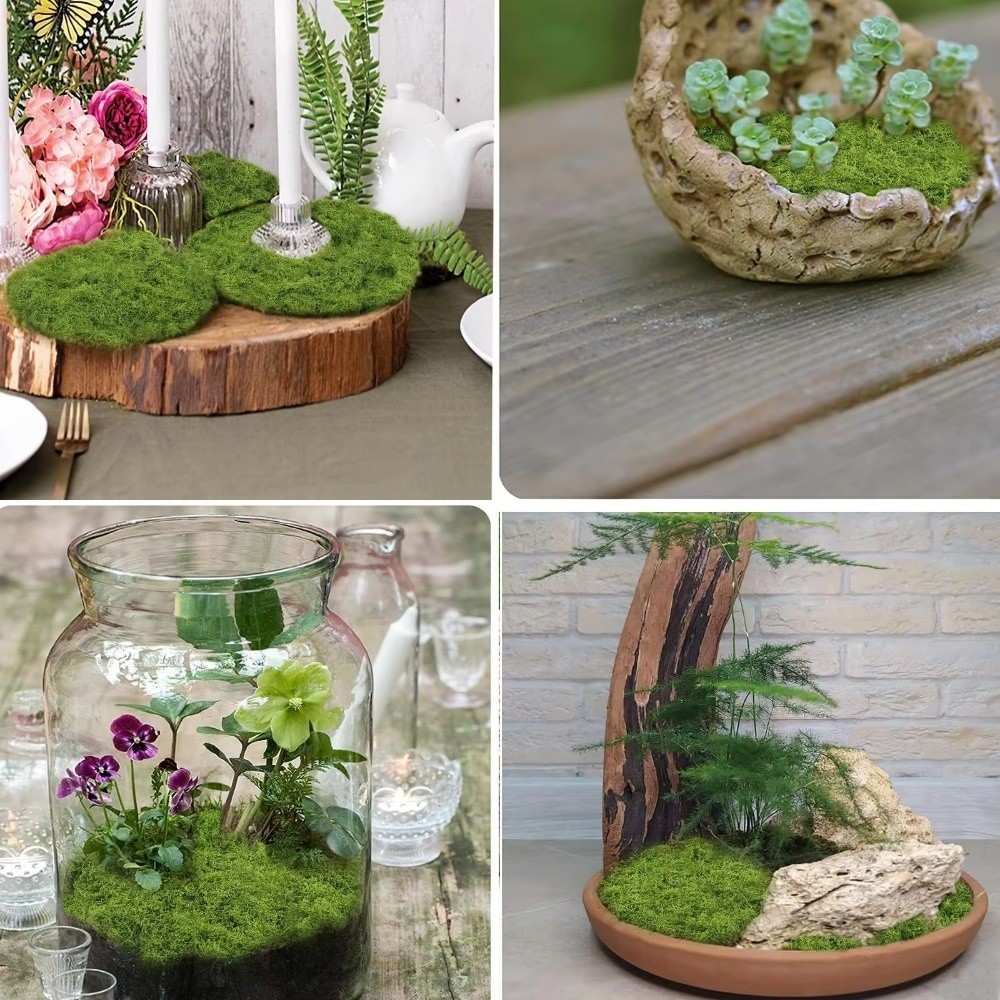 Tapis de gazon artificiel DIY  - Sphagnum Moss Dry avis et prix