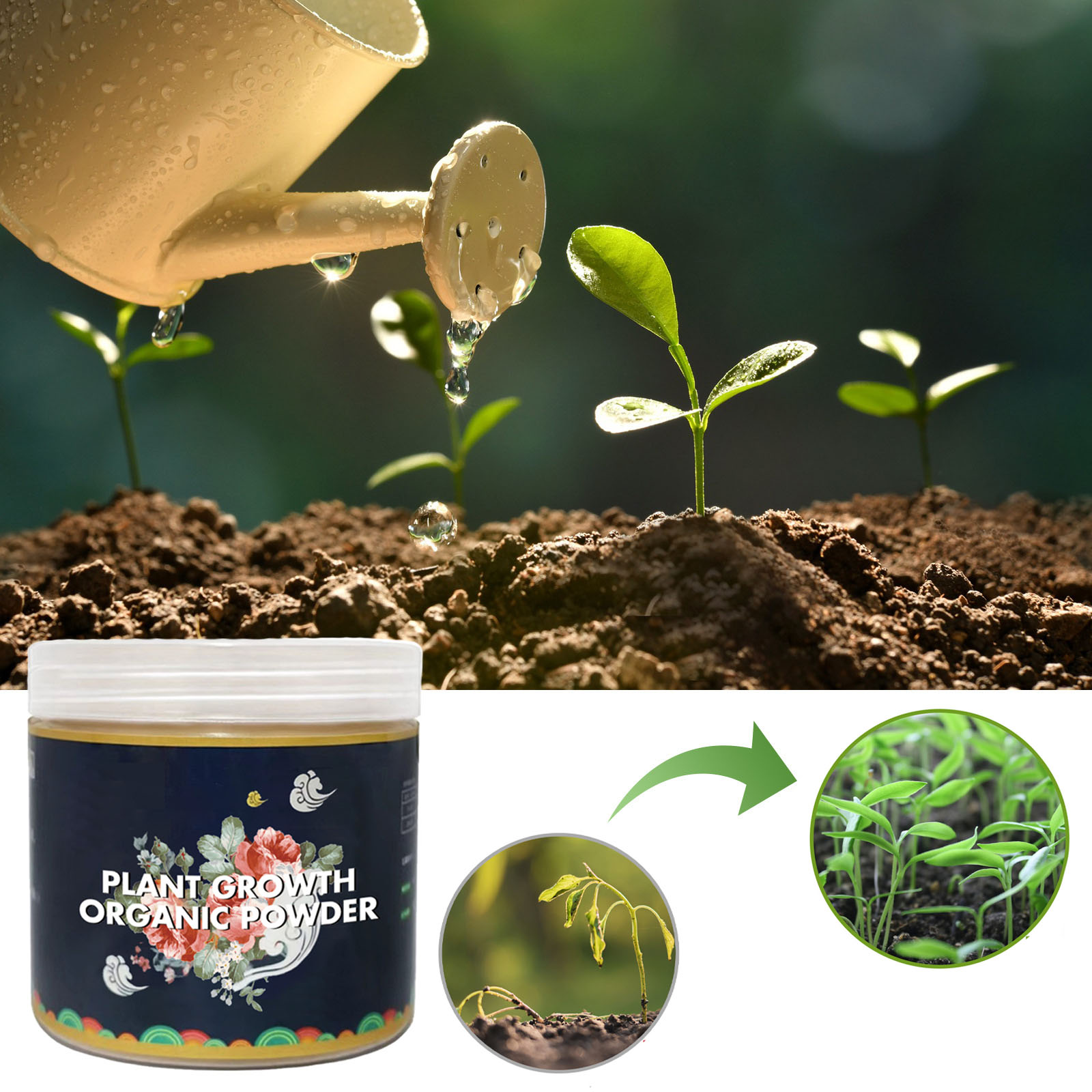 Outils hydroponiques de jardin - Rooting Hormone Powder avis et prix