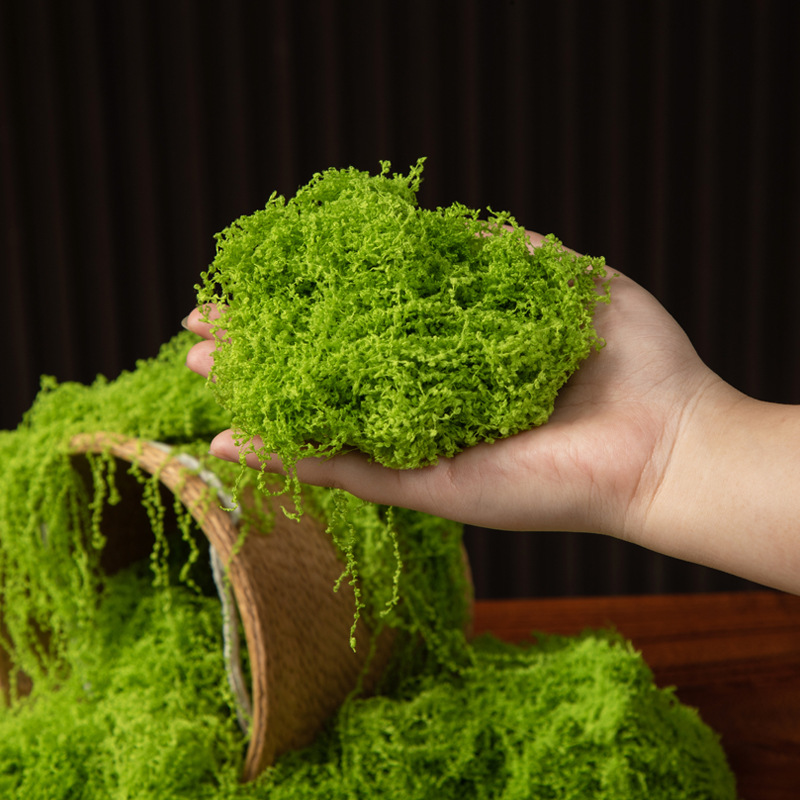 200g de mousse éternelle pour  - Sphagnum Moss Dry avis et prix
