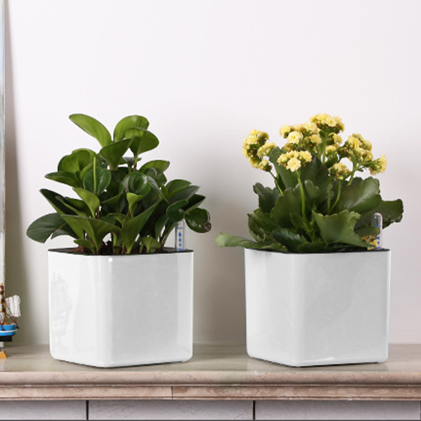 Pot de fleurs paresseux de 3 t - Self Watering Insert avis et prix