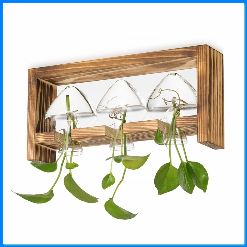 Station de propagation en verr - Propagation Station Vase avis et prix