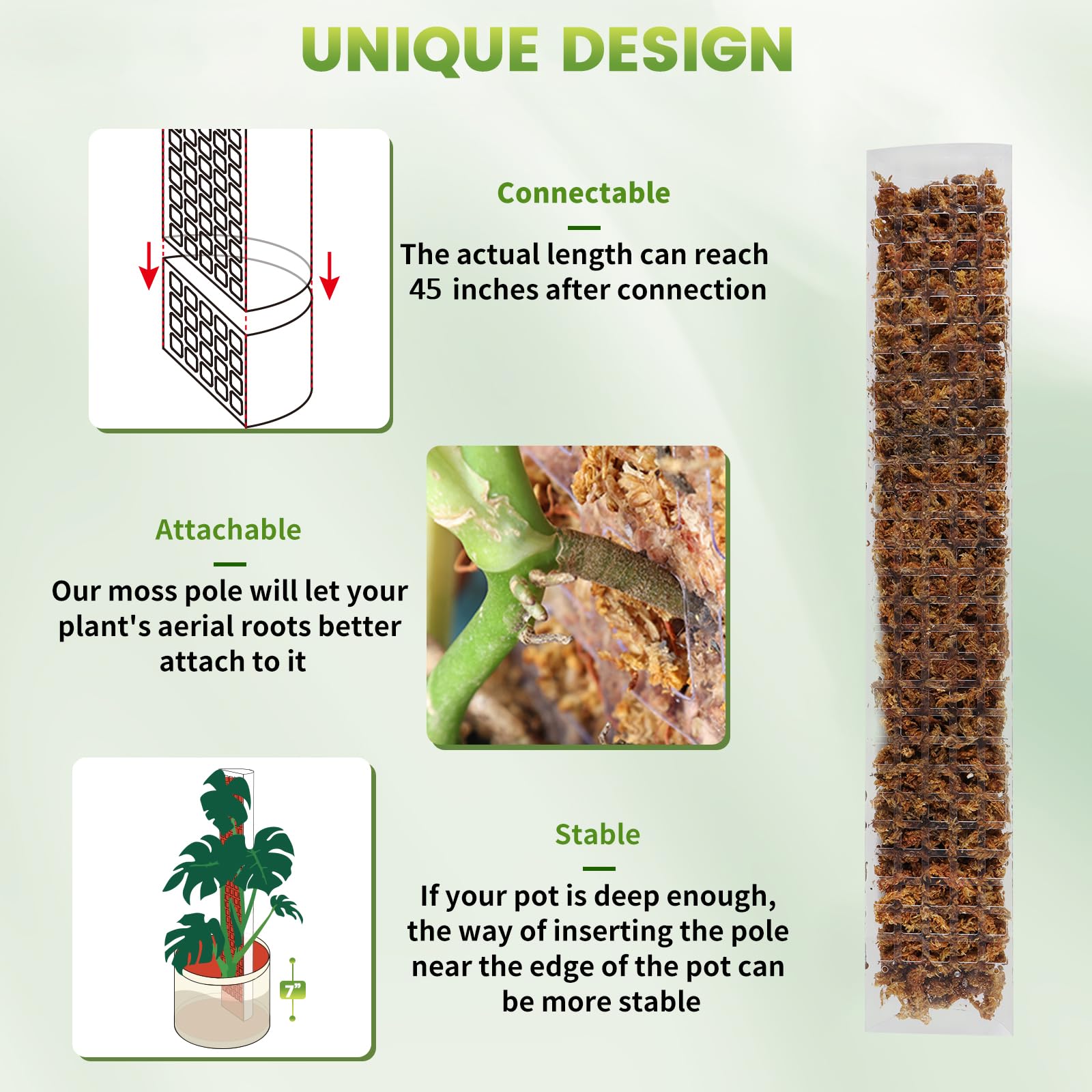 Colonne de mousse d'eau pour p - Sphagnum Moss Dry avis et prix