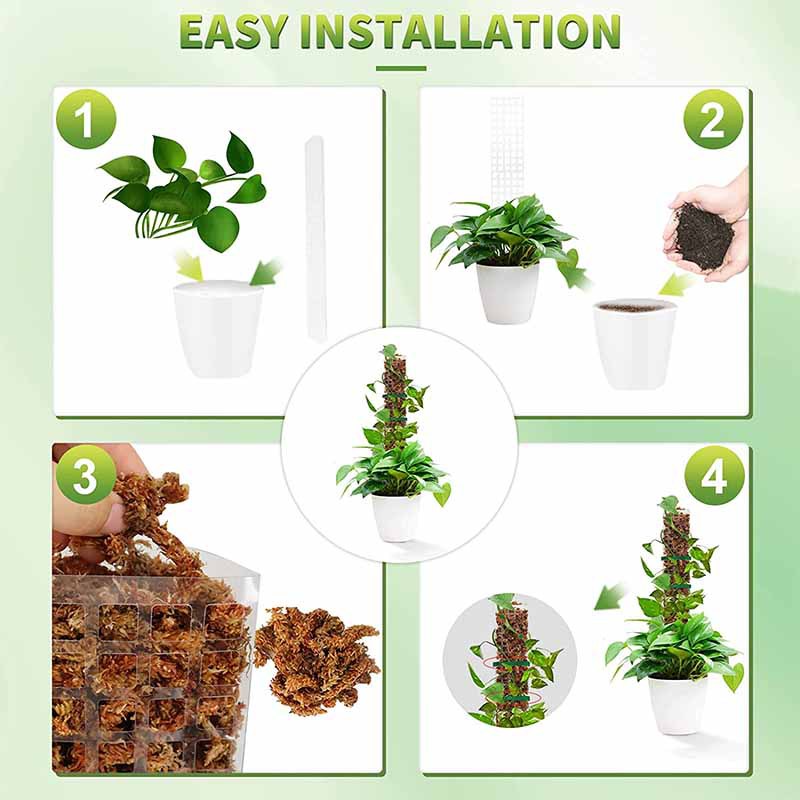 Colonne de mousse d'eau pour p - Sphagnum Moss Dry avis et prix