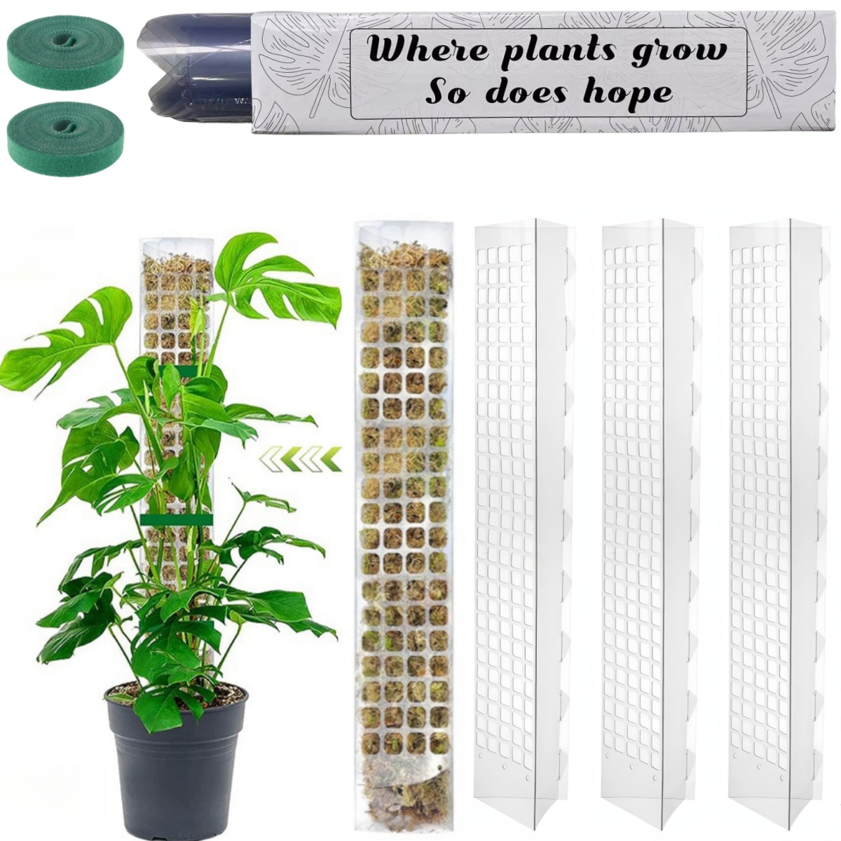 Support de plantes en plastiqu - Sphagnum Moss Dry avis et prix