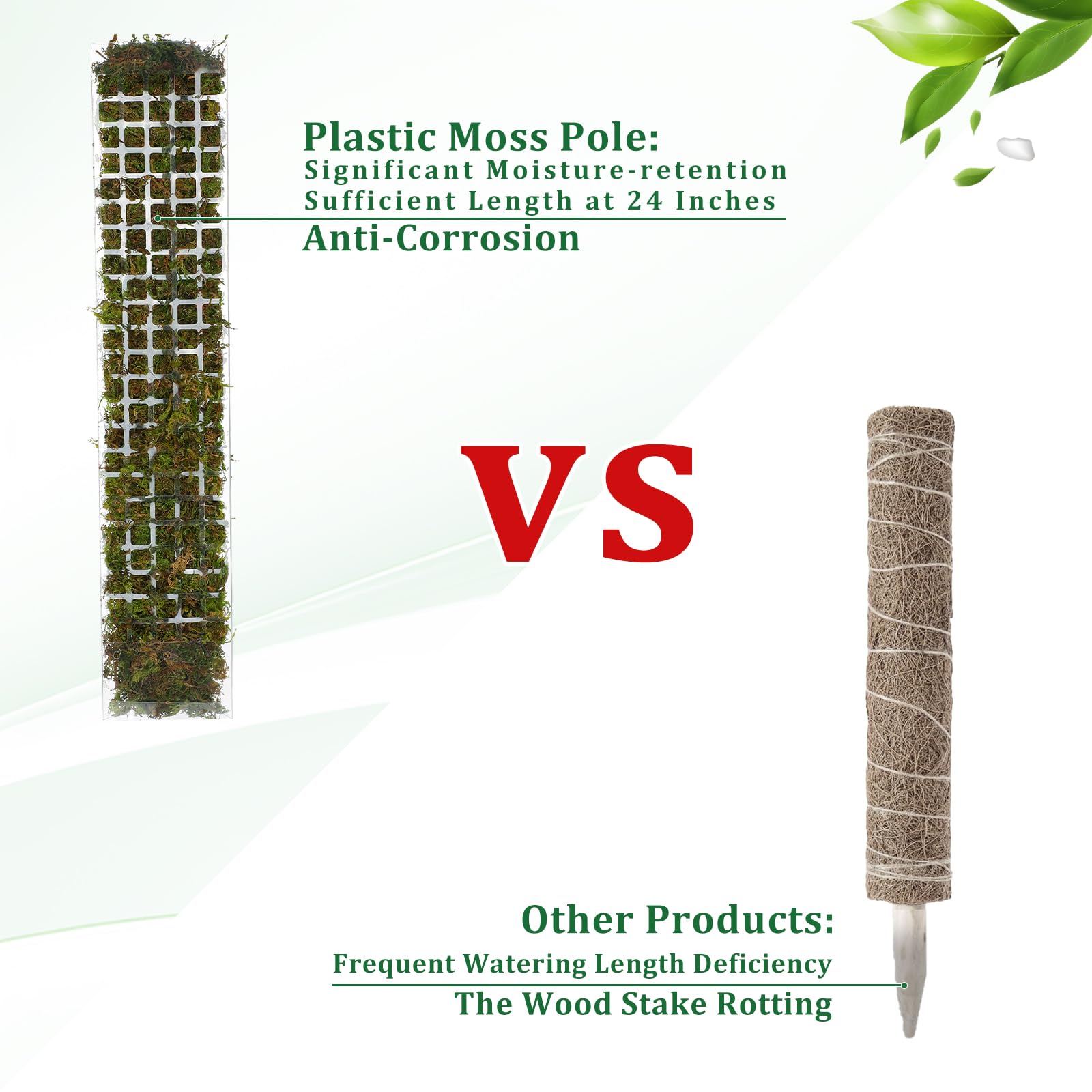 Support de plantes en plastiqu - Sphagnum Moss Dry avis et prix