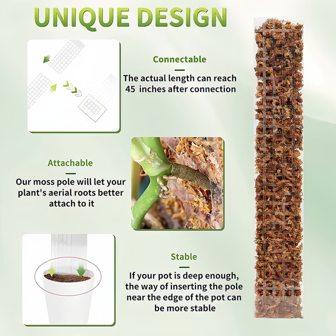 Support de plantes en plastiqu - Sphagnum Moss Dry avis et prix