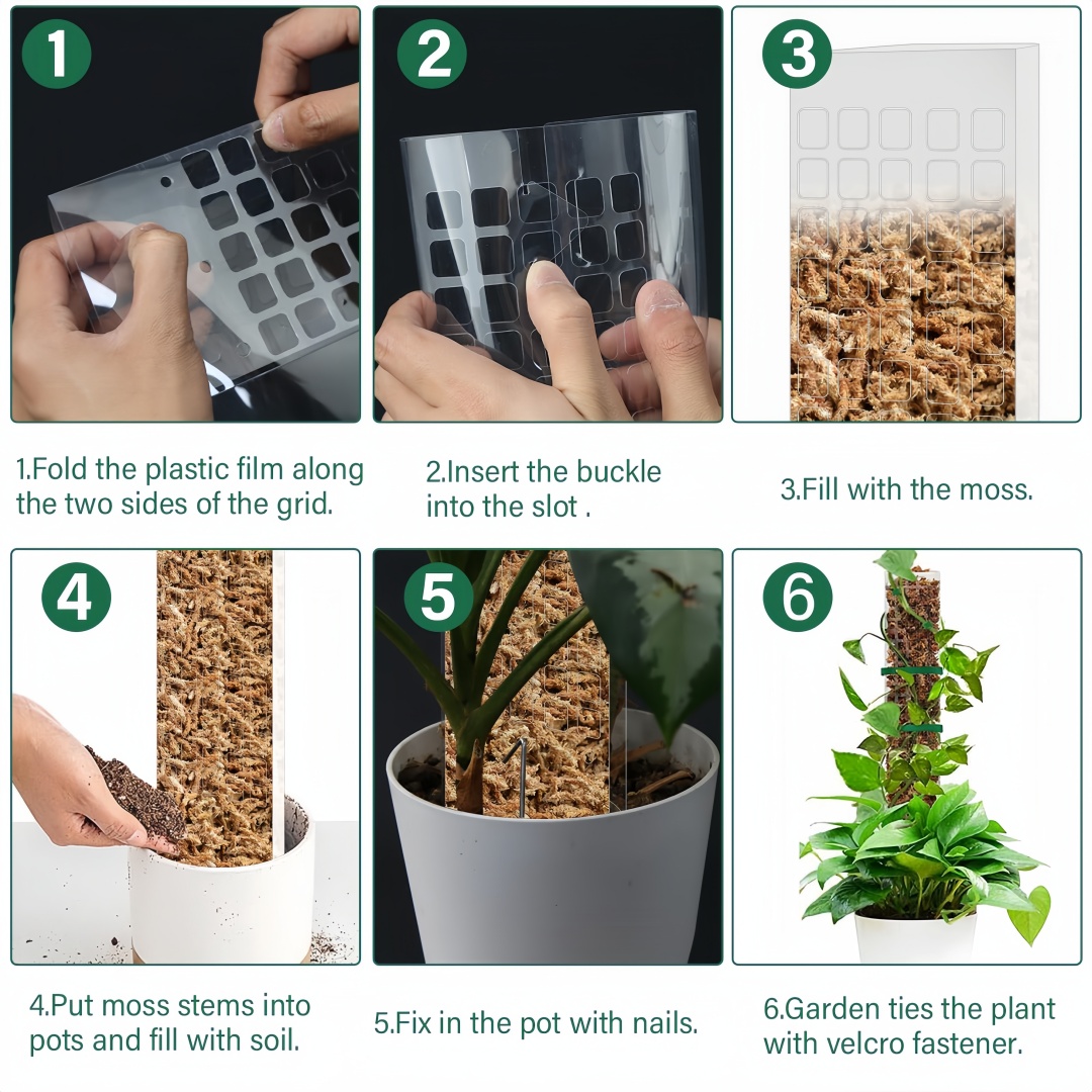 Support de plantes en plastiqu - Sphagnum Moss Dry avis et prix