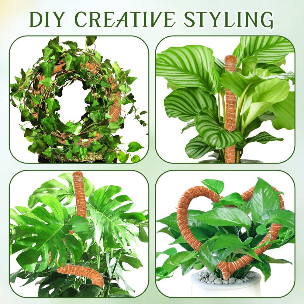 Support d'escalade pour plante - Sphagnum Moss Dry avis et prix