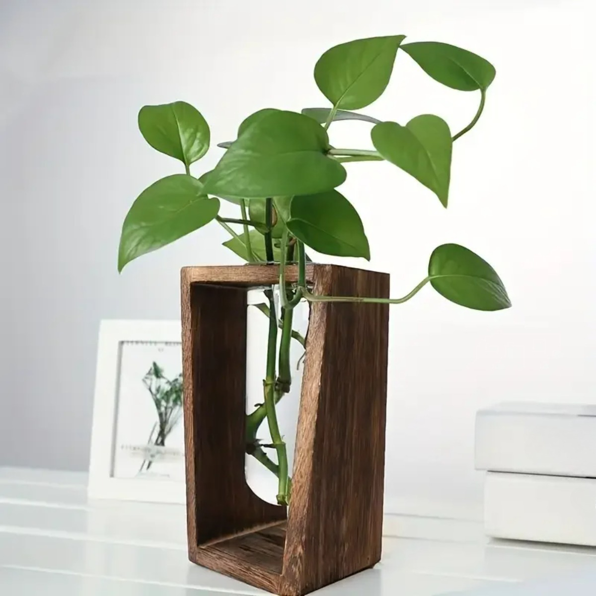 Station de propagation de plan - Propagation Station Vase avis et prix