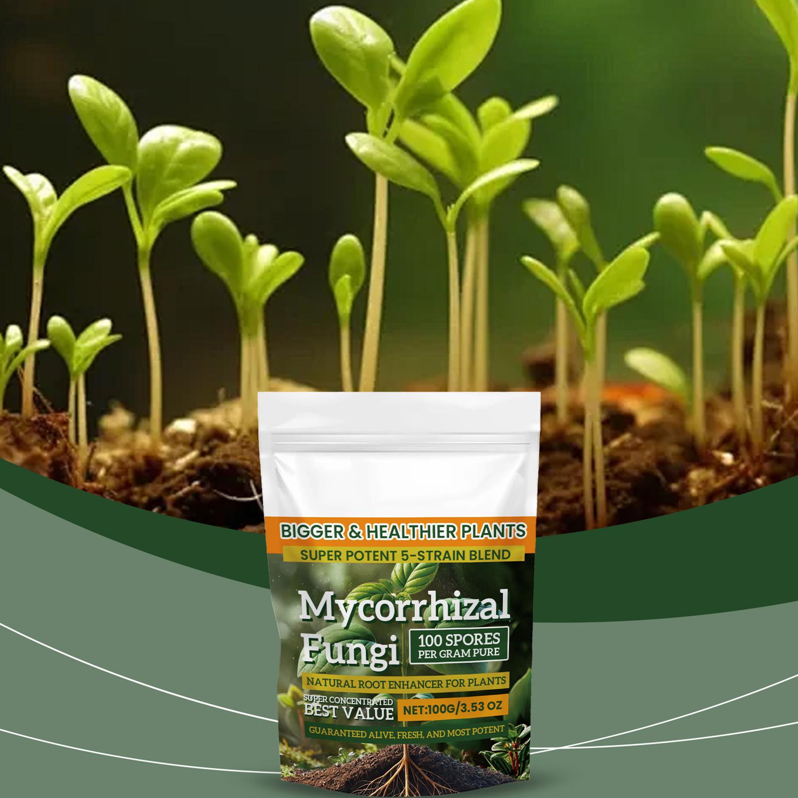 Nouvelle poudre nutritive pour - Rooting Hormone Powder avis et prix