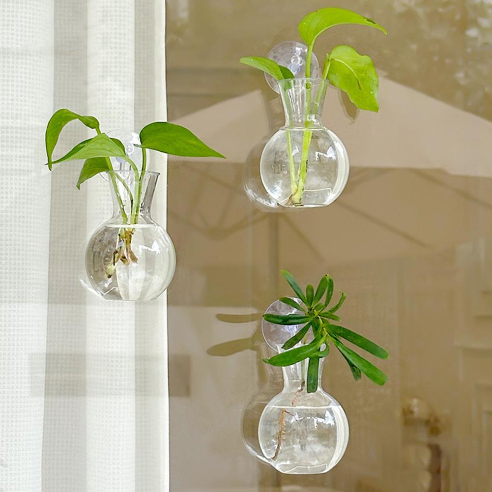Vases de fenêtre, supports de  - Propagation Station Vase avis et prix