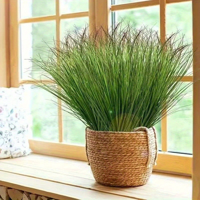 12/28 pièces de plantes vertes - Sphagnum Moss Dry avis et prix