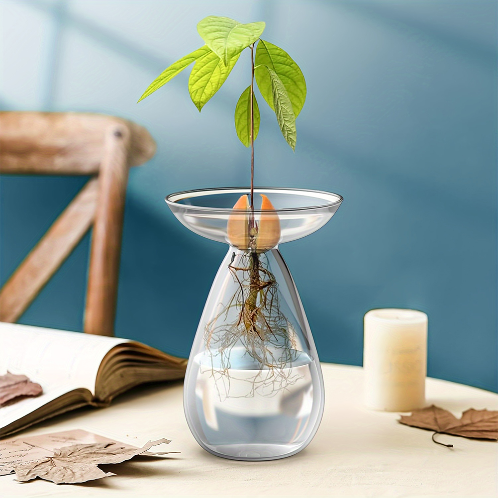 Vase hydroponique transparent  - Propagation Station Vase avis et prix