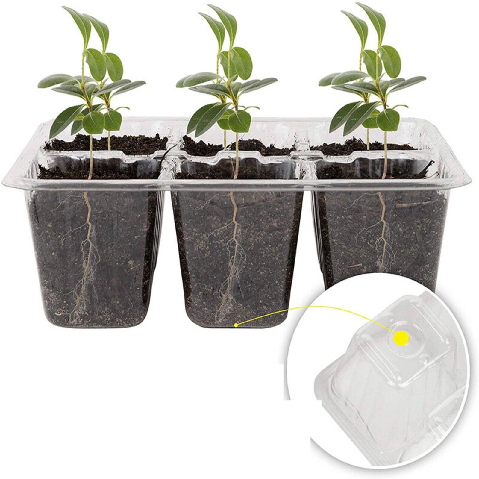 Plateau de germination à 12 co - Humidity Dome Kit avis et prix