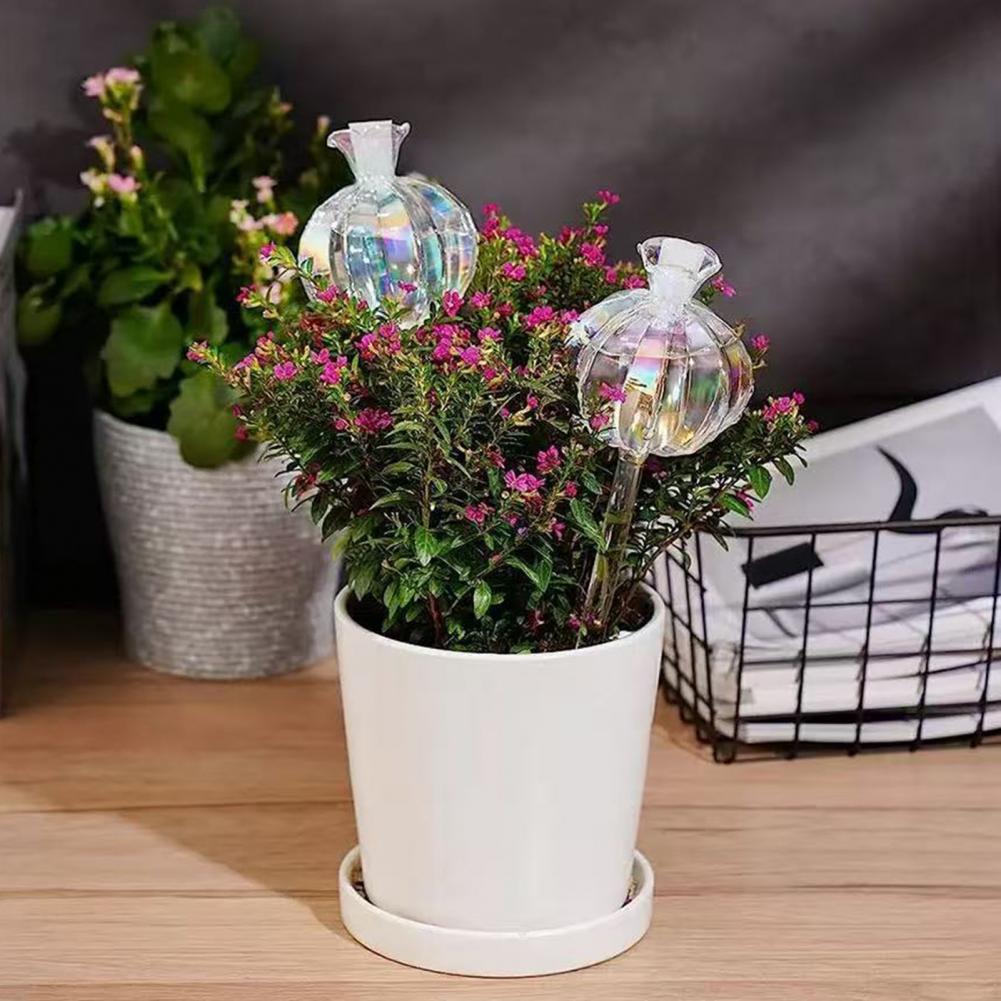 Ampoules d'arrosage automatiqu - Self Watering Insert avis et prix