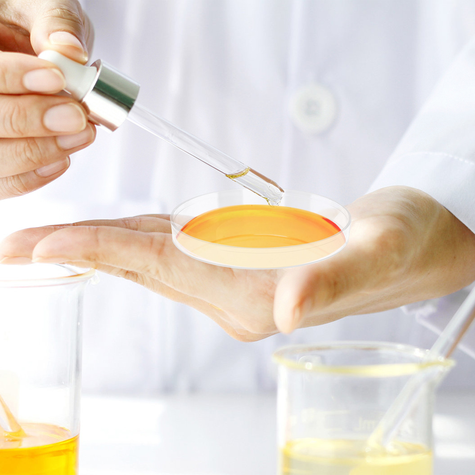 30 plaques de Petri en plastiq - Agar Tissue Culture avis et prix
