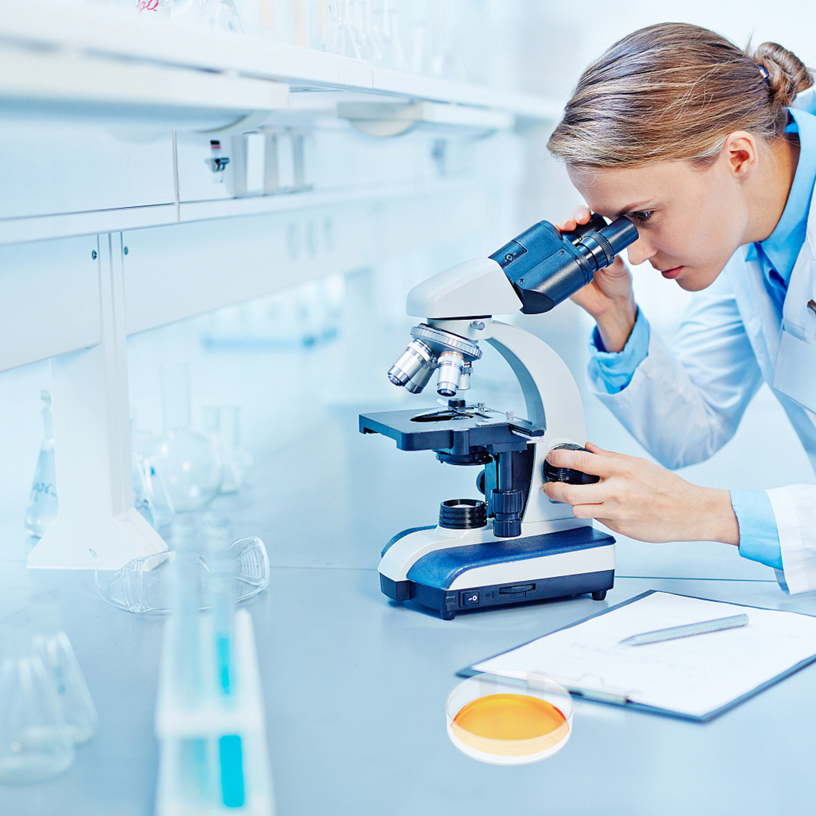 30 plaques de Petri en plastiq - Agar Tissue Culture avis et prix