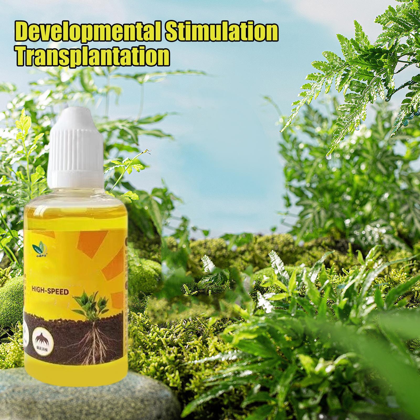 Stimulateur d'enracinement de  - Root Stimulator Liquid avis et prix
