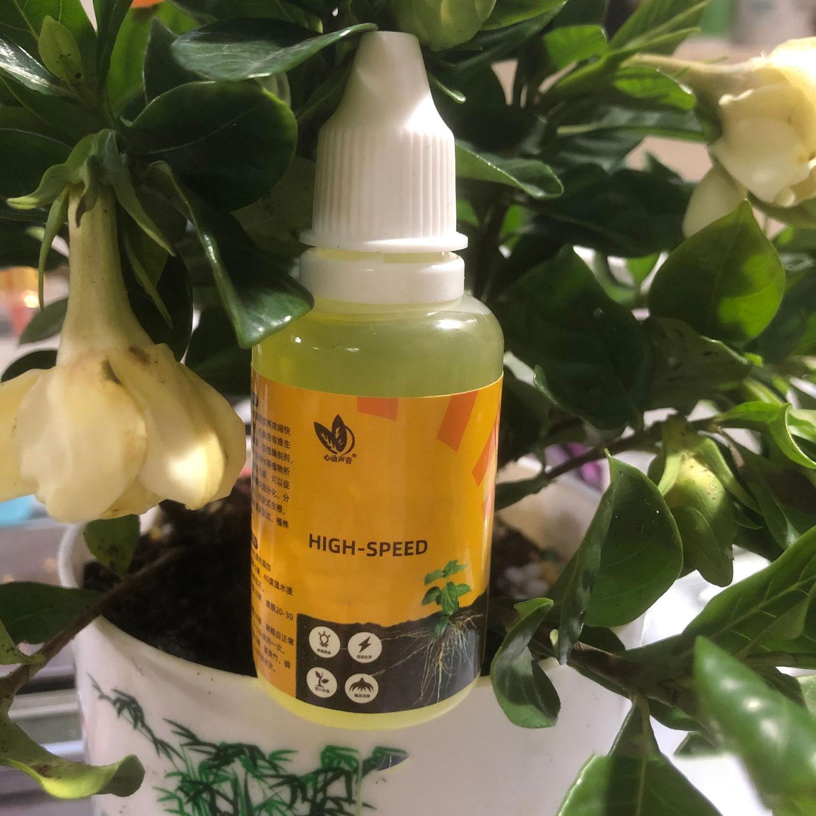 Stimulateur de racines liquide - Root Stimulator Liquid avis et prix