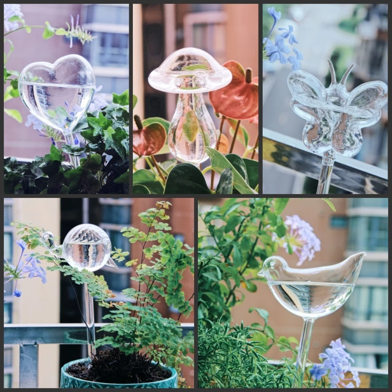 Arroseur créatif en verre pour - Self Watering Insert avis et prix