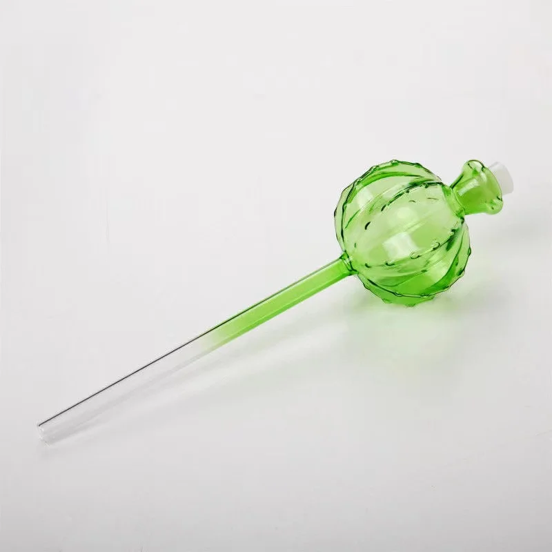 Arroseur créatif en verre pour - Self Watering Insert avis et prix