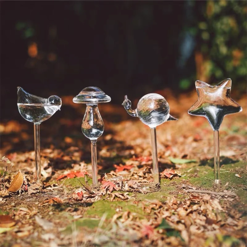 Arroseur créatif en verre pour - Self Watering Insert avis et prix