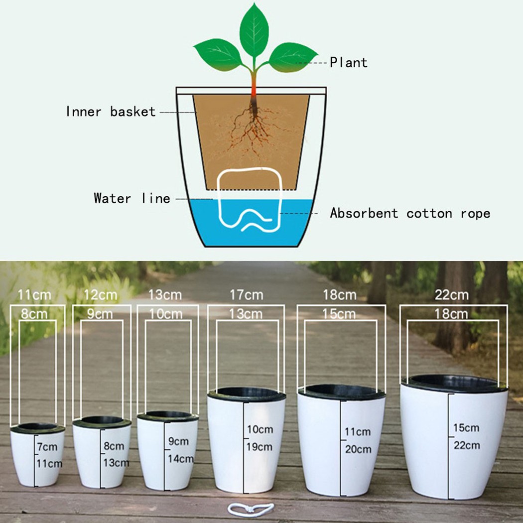 Pot de fleurs d'arrosage autom - Self Watering Insert avis et prix