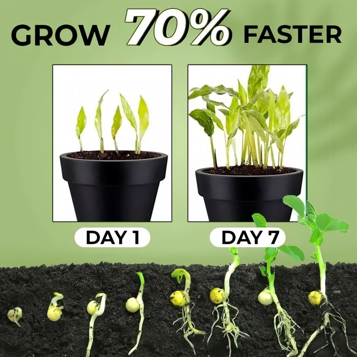 Acide indoléacétique IAA Auxin - Rooting Hormone Powder avis et prix