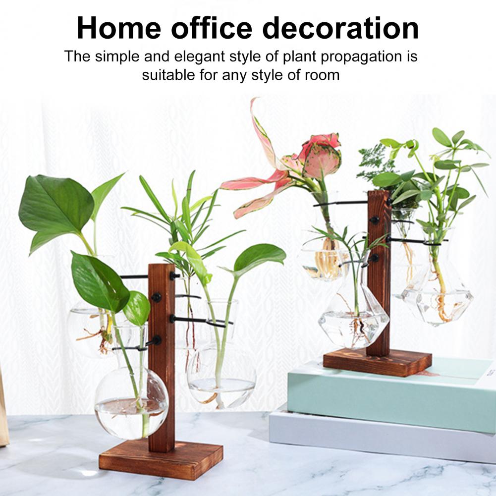 Station de Propagation de plan - Propagation Station Vase avis et prix