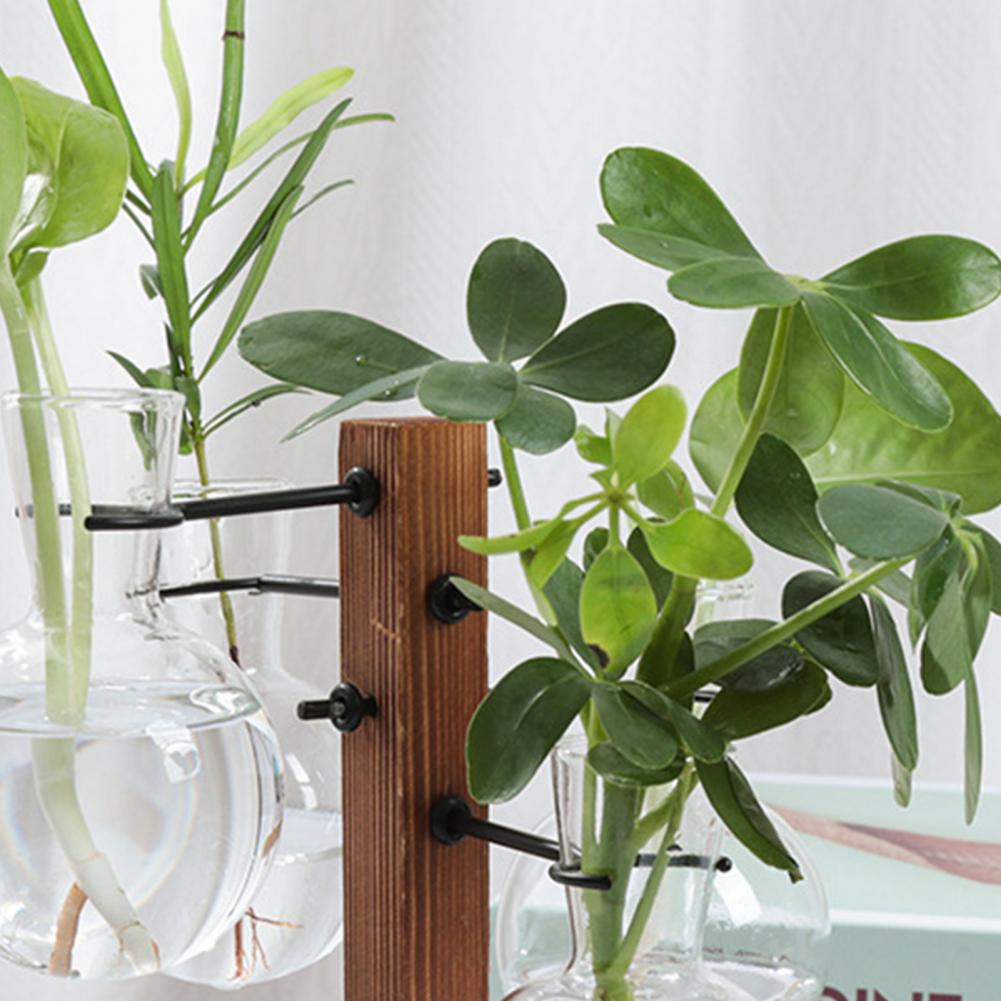 Station de Propagation de plan - Propagation Station Vase avis et prix
