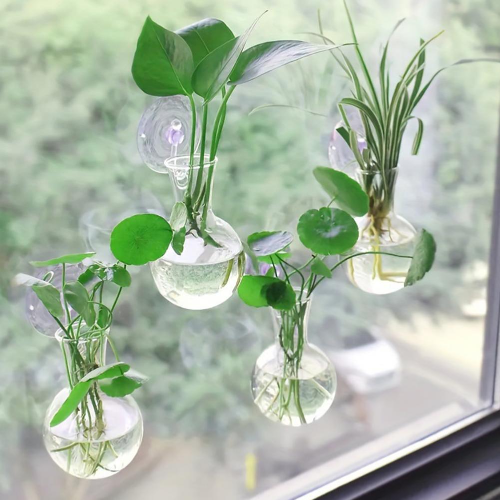 Lot de 1/2/3/4/6/8 Bulbes de p - Propagation Station Vase avis et prix